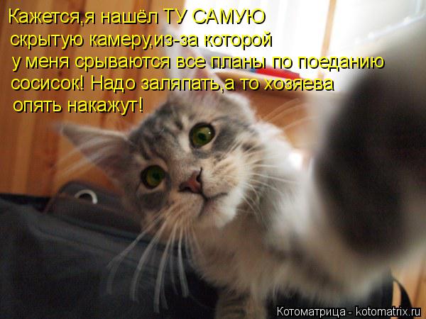 Кажется,я нашёл ТУ САМУЮ скрытую камеру,из-за которой у меня срываются все планы по поеданию сосисок... Котоматрица: Кажется,я нашёл ТУ САМУЮ скрытую камеру,из-за которой у меня срываются все планы по поеданию сосисок! Надо заляпать,а то хозяева опять нака