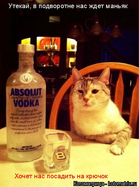 Утекай, в подвоpотне нас ждет маньяк Хочет нас посадить на крючок... Котоматрица: Утекай, в подвоpотне нас ждет маньяк Хочет нас посадить на крючок