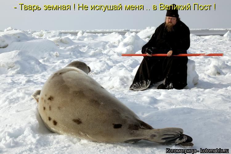 - Тварь земная ! Не искушай меня .. в Великий Пост !... Котоматрица: - Тварь земная ! Не искушай меня .. в Великий Пост !