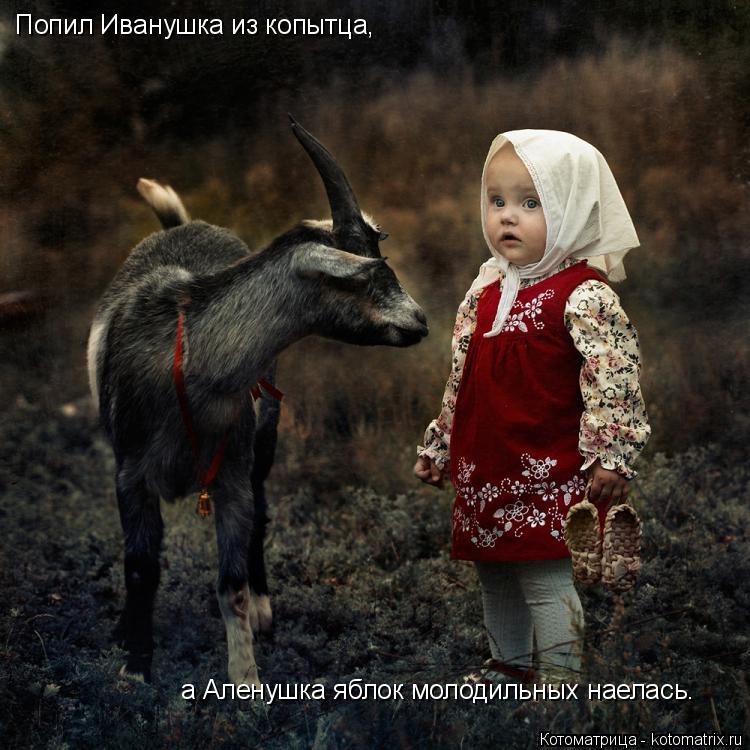 Попил Иванушка из копытца, а Аленушка яблок молодильных наелась.... Котоматрица: Попил Иванушка из копытца, а Аленушка яблок молодильных наелась.