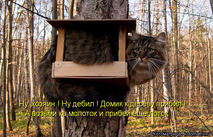 Котоматрица: - Ну, хозяин ! Ну дебил ! Домик к дереву прибил ! А возьми ка молоток и прибей еще лоток !!!