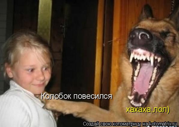 Колобок повесился хахаха,лол)... Котоматрица: Колобок повесился хахаха,лол)
