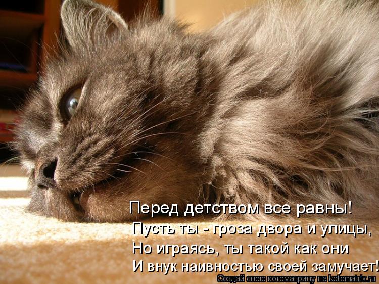 Котоматрица: И внук наивностью своей замучает! Но играясь, ты такой как они Пусть ты - гроза двора и улицы, Перед детством все равны!