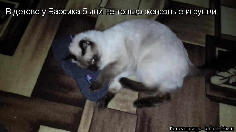 В детсве у Барсика были не только железные игрушки.... Котоматрица: В детсве у Барсика были не только железные игрушки.