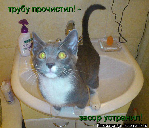 трубу прочистил! - засор устранил!... Котоматрица: трубу прочистил! - засор устранил!
