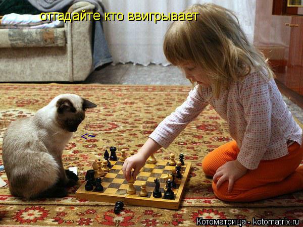 Котоматрица: отгадайте кто ввигрывает <~