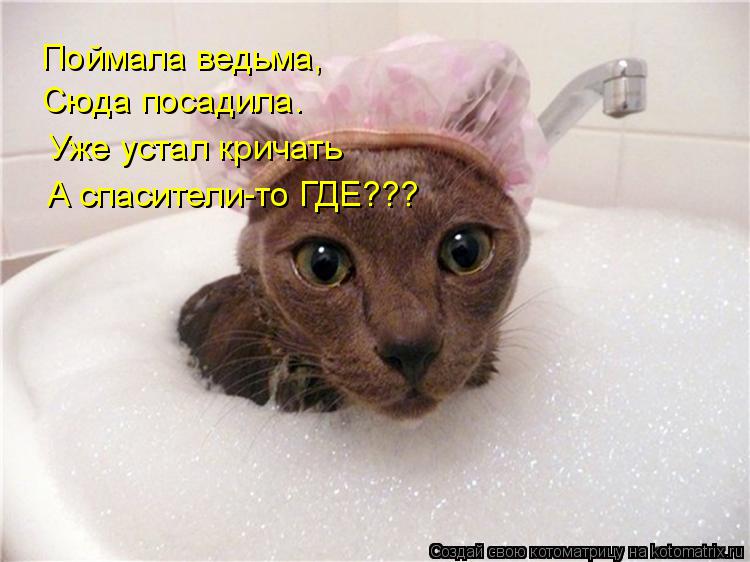 Котоматрица: Поймала ведьма, Сюда посадила. Уже устал кричать А спасители-то ГДЕ???