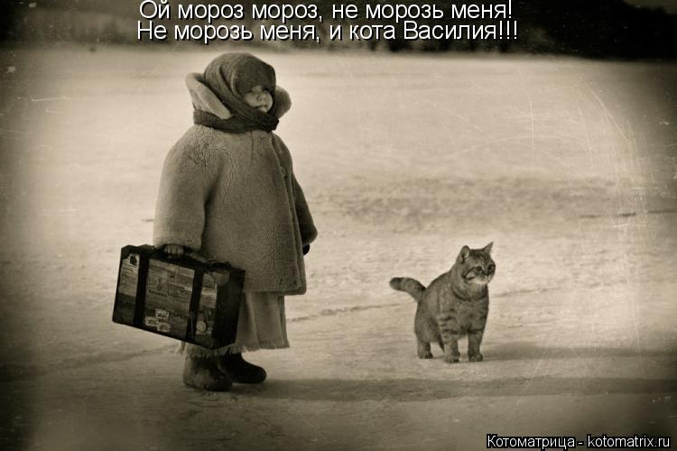 Котоматрица: Ой мороз мороз, не морозь меня! Не морозь меня, и кота Василия!!!