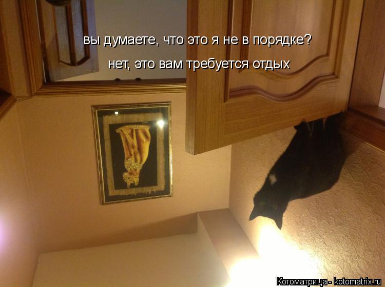 вы думаете, что это я не в порядке? нет, это вам требуется отдых... Котоматрица: вы думаете, что это я не в порядке? нет, это вам требуется отдых