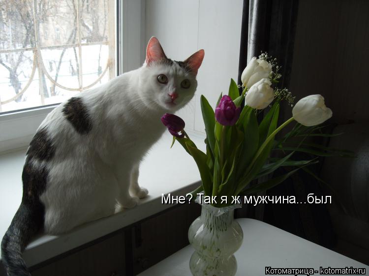 Мне? Так я ж мужчина...был... Котоматрица: Мне? Так я ж мужчина...был