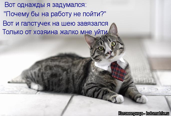 Вот однажды я задумался: "Почему бы на работу не пойти?" Вот и галстучек на шею завязался Только от х... Котоматрица: Вот однажды я задумался: "Почему бы на работу не пойти?" Вот и галстучек на шею завязался Только от хозяина жалко мне уйти.