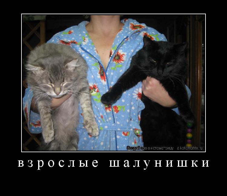 взрослые шалунишки ... Котоматрица: взрослые шалунишки