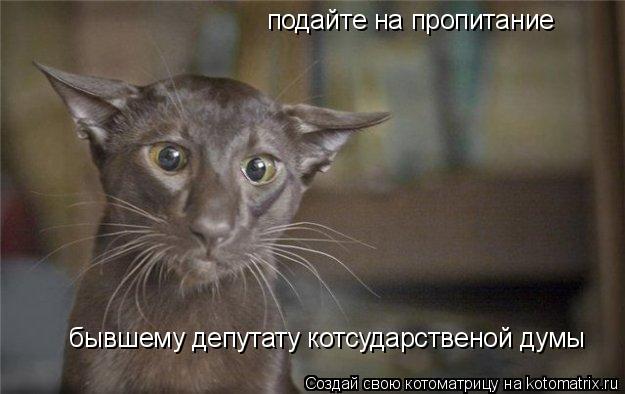 бывшему депутату котсударственой думы подайте на пропитание... Котоматрица: бывшему депутату котсударственой думы подайте на пропитание
