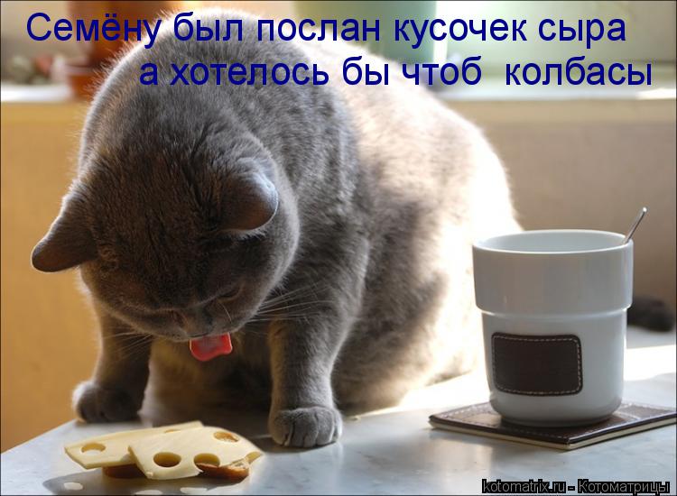 Котоматрица: Семёну был послан кусочек сыра а хотелось бы чтоб  колбасы
