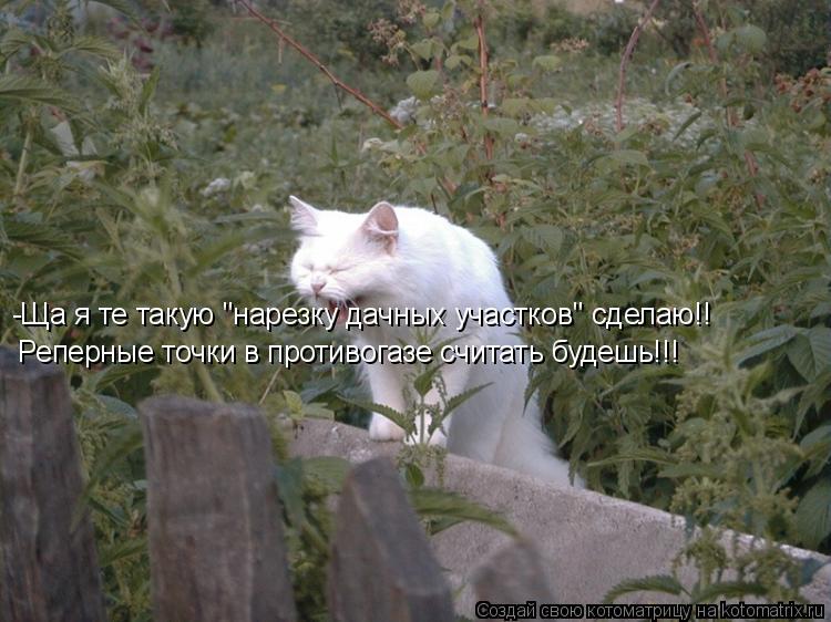-Ща я те такую "нарезку дачных участков" сделаю!! Реперные точки в противогазе считать будешь!!!... Котоматрица: -Ща я те такую "нарезку дачных участков" сделаю!! Реперные точки в противогазе считать будешь!!!
