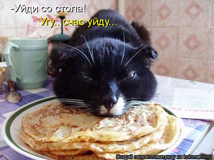 -Уйди со стола! Угу...счас уйду...... Котоматрица: -Уйди со стола! Угу...счас уйду...