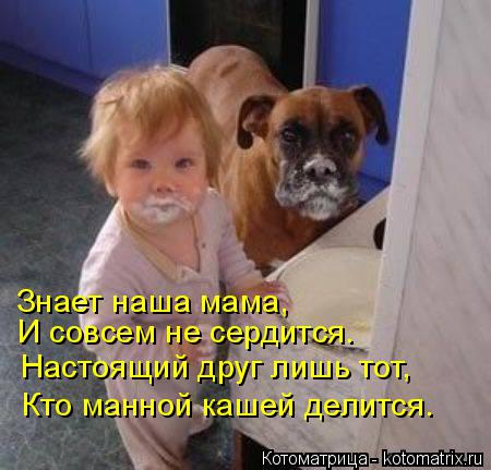 Знает наша мама, И совсем не сердится. Настоящий друг лишь тот, Кто манной кашей делится.... Котоматрица: Знает наша мама, И совсем не сердится. Настоящий друг лишь тот, Кто манной кашей делится.