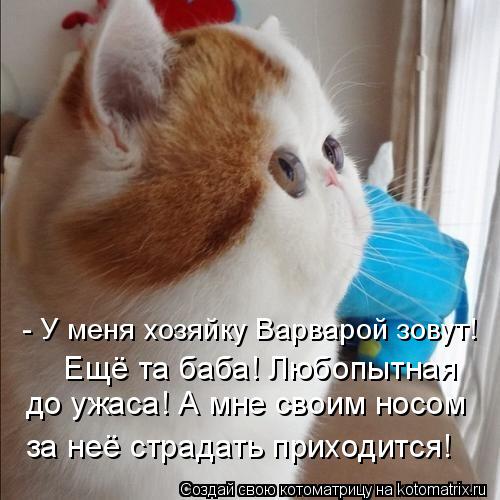 до ужаса! А мне своим носом за неё страдать приходится! - У меня хозяйку Варварой зовут! Ещё та баб... Котоматрица: до ужаса! А мне своим носом за неё страдать приходится! - У меня хозяйку Варварой зовут! Ещё та баба! Любопытная