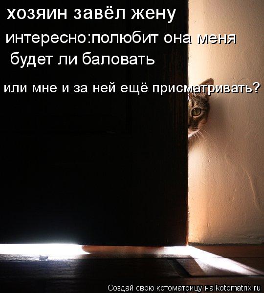 хозяин завёл жену интересно:полюбит она меня будет ли баловать или мне и за ней ещё присматривать?... Котоматрица: хозяин завёл жену интересно:полюбит она меня будет ли баловать или мне и за ней ещё присматривать?