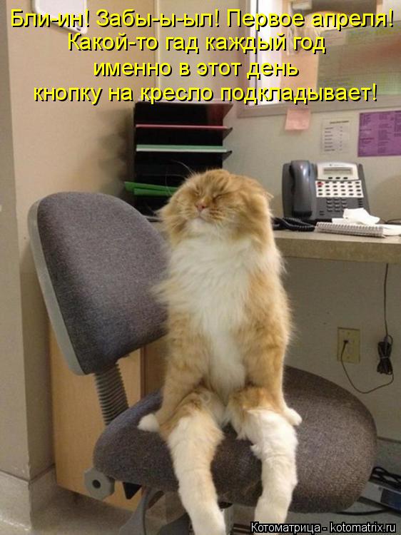 Котоматрица: Бли-ин! Забы-ы-ыл! Первое апреля! Какой-то гад каждый год именно в этот день  кнопку на кресло подкладывает!