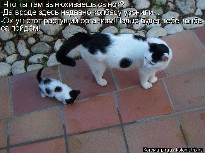 -Что ты там вынюхиваешь,сынок? -Да вроде здесь недавно колбасу уронили... -Ох уж этот растущий органи... Котоматрица: -Что ты там вынюхиваешь,сынок? -Да вроде здесь недавно колбасу уронили... -Ох уж этот растущий организм!Ладно,будет тебе колба- са,пойдём!