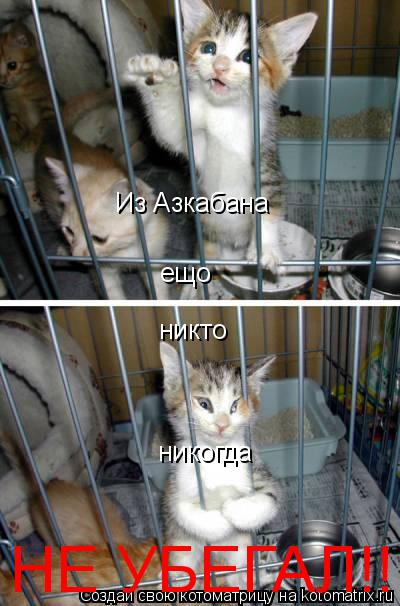 Из Азкабана ещо никто никогда НЕ УБЕГАЛ!!!... Котоматрица: Из Азкабана ещо никто никогда НЕ УБЕГАЛ!!!