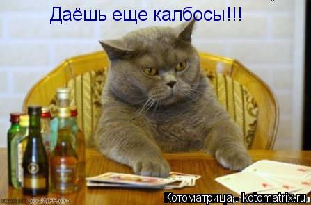 Даёшь еще калбосы!!!... Котоматрица: Даёшь еще калбосы!!!