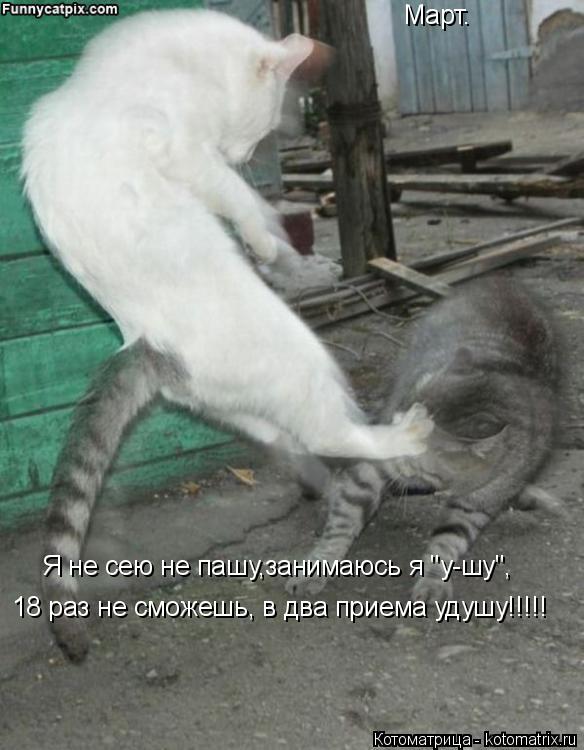 Март. Я не сею не пашу,занимаюсь я "у-шу", 18 раз не сможешь, в два приема удушу!!!!!... Котоматрица: Март. Я не сею не пашу,занимаюсь я "у-шу", 18 раз не сможешь, в два приема удушу!!!!!