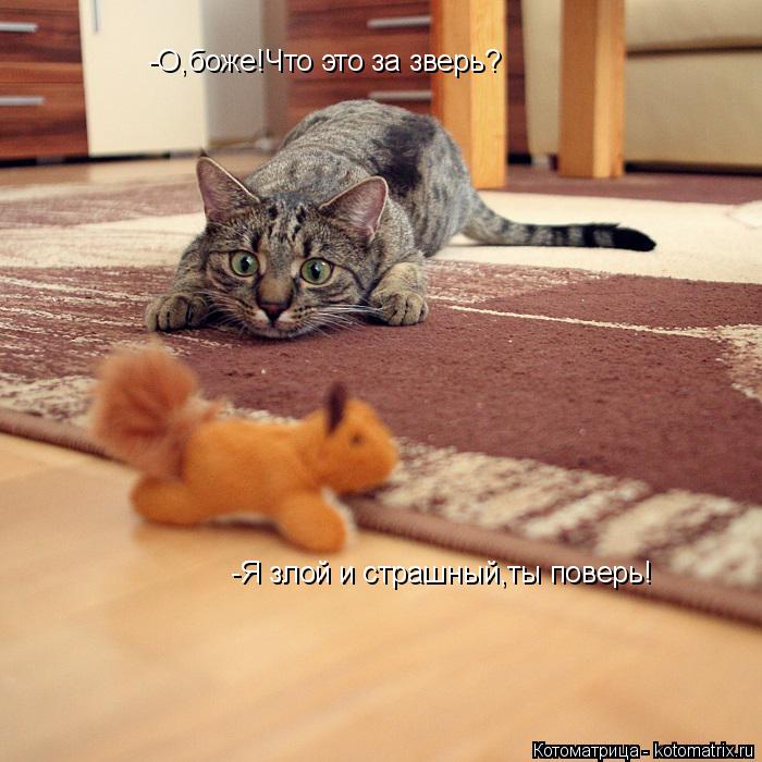 Котоматрица: -Я злой и страшный,ты поверь! -О,боже!Что это за зверь?
