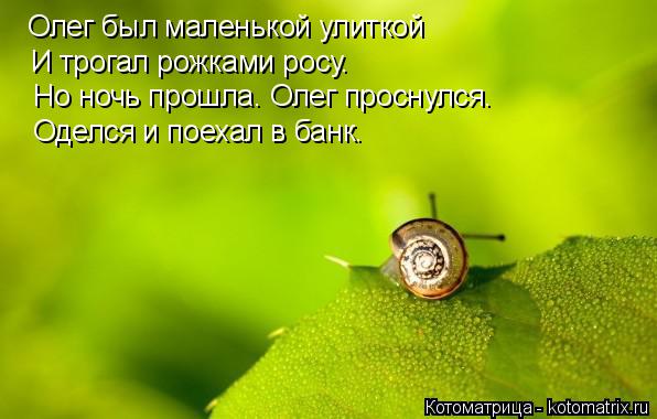 Олег был маленькой улиткой И трогал рожками росу. Но ночь прошла. Олег проснулся. Оделся и поехал в б... Котоматрица: Олег был маленькой улиткой И трогал рожками росу. Но ночь прошла. Олег проснулся. Оделся и поехал в банк.