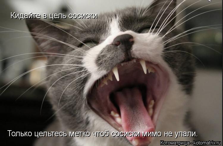Кидайте в цель сосиски Только цельтесь метко чтоб сосиски мимо не упали.... Котоматрица: Кидайте в цель сосиски Только цельтесь метко чтоб сосиски мимо не упали.