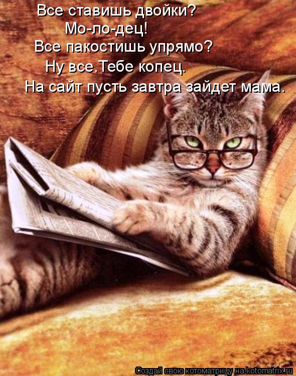 Все ставишь двойки? Мо-ло-дец! Все пакостишь упрямо? Ну все.Тебе копец. На сайт пусть завтра зайдет м... Котоматрица: Все ставишь двойки? Мо-ло-дец! Все пакостишь упрямо? Ну все.Тебе копец. На сайт пусть завтра зайдет мама.