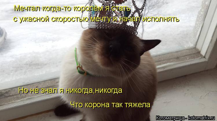 Мечтал когда-то королём я стать с ужасной скоростью мечту я начал исполнять Но не знал я никогда,нико... Котоматрица: Мечтал когда-то королём я стать с ужасной скоростью мечту я начал исполнять Но не знал я никогда,никогда Что корона так тяжела