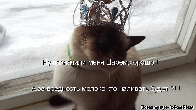 Котоматрица: Ну назначили меня Царём,хорошо ! А за вредность молоко кто наливать будет ?! !