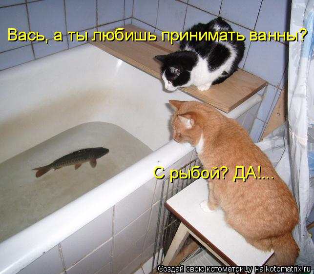 Вась, а ты любишь принимать ванны? Вась, а ты любишь принимать ванны? С рыбой? ДА!...... Котоматрица: Вась, а ты любишь принимать ванны? Вась, а ты любишь принимать ванны? С рыбой? ДА!...
