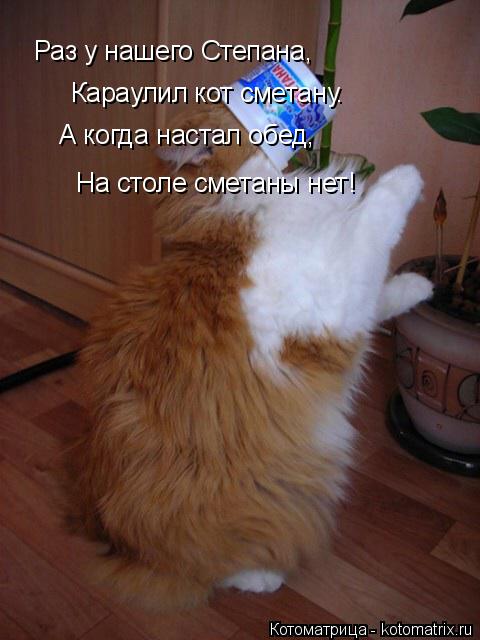 Котоматрица: Раз у нашего Степана, Караулил кот сметану. А когда настал обед, На столе сметаны нет!