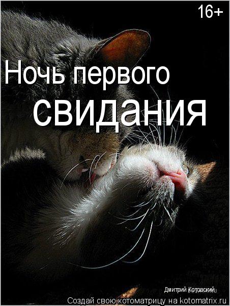 Ночь первого свидания Дмитрий Котовский 16+... Котоматрица: Ночь первого свидания Дмитрий Котовский 16+