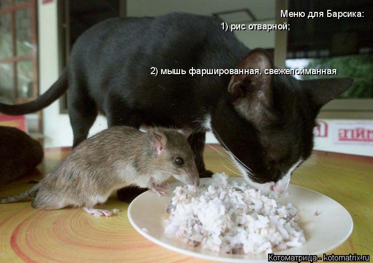 Меню для Барсика: 2) мышь фаршированная, свежепойманная 1) рис отварной;... Котоматрица: Меню для Барсика: 2) мышь фаршированная, свежепойманная 1) рис отварной;