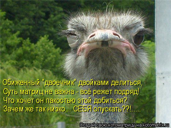 Обиженный "двоечник" двойками делиться, Суть матриц не важна - всё режет подряд! Что хочет он пакость... Котоматрица: Обиженный "двоечник" двойками делиться, Суть матриц не важна - всё режет подряд! Что хочет он пакостью этой добиться? Зачем же так низко... СЕБ