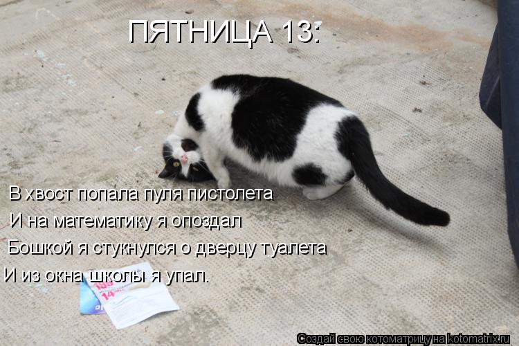 ПЯТНИЦА 13: В хвост попала пуля пистолета И на математику я опоздал Бошкой я стукнулся о дверцу туале... Котоматрица: ПЯТНИЦА 13: В хвост попала пуля пистолета И на математику я опоздал Бошкой я стукнулся о дверцу туалета И из окна школы я упал.