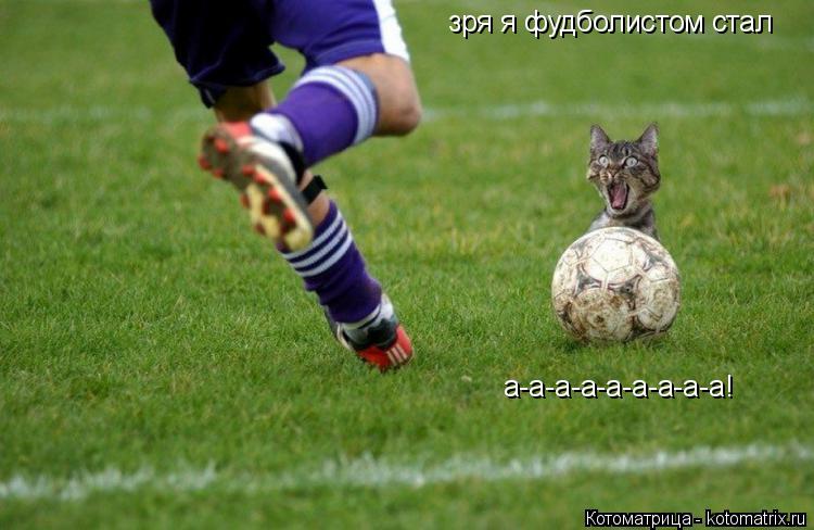 Котоматрица: зря я фудболистом стал  а-а-а-а-а-а-а-а-а!