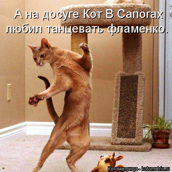 А на досуге Кот В Сапогах любил танцевать фламенко.... Котоматрица: А на досуге Кот В Сапогах любил танцевать фламенко.