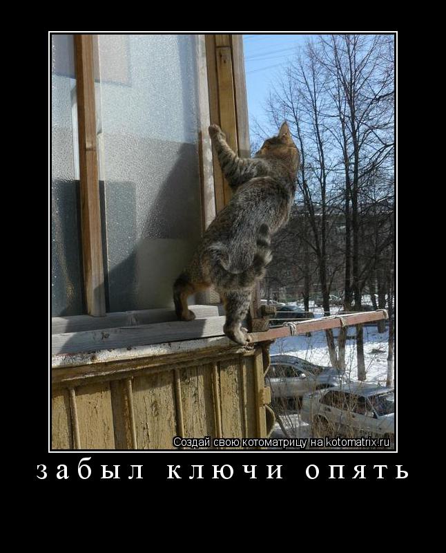забыл ключи опять ... Котоматрица: забыл ключи опять