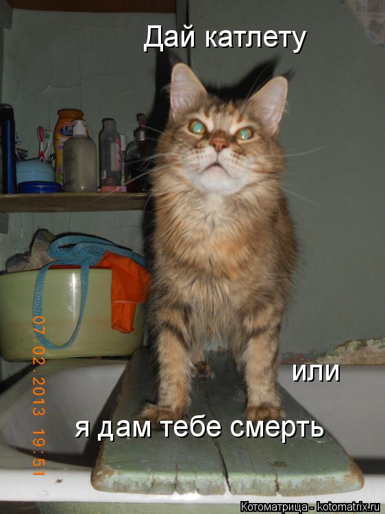 Дай катлету или я дам тебе смерть... Котоматрица: Дай катлету или я дам тебе смерть