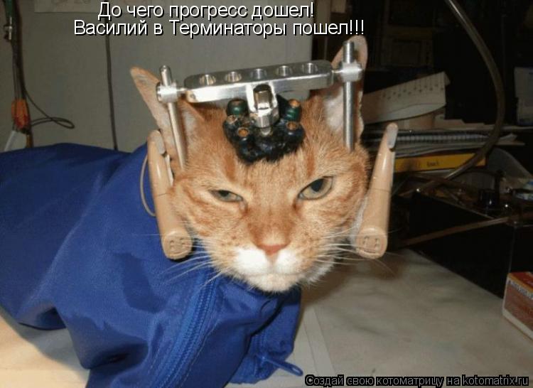 До чего прогресс дошел! Василий в Терминаторы пошел!!!... Котоматрица: До чего прогресс дошел! Василий в Терминаторы пошел!!!