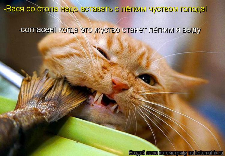 -Вася со стола надо вставать с лёгким чуством голода! -согласен! когда это жуство станет лёгким я выд... Котоматрица: -Вася со стола надо вставать с лёгким чуством голода! -согласен! когда это жуство станет лёгким я выду