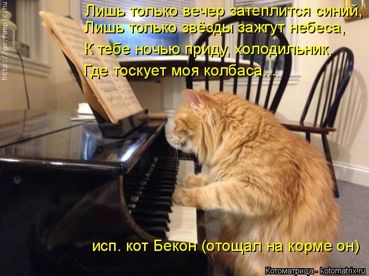 Лишь только вечер затеплится синий, Лишь только звёзды зажгут небеса, К тебе ночью приду, холодильн... Котоматрица: Лишь только вечер затеплится синий, Лишь только звёзды зажгут небеса, К тебе ночью приду, холодильник, Где тоскует моя колбаса... исп. кот Бе