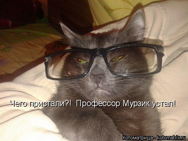 Чего пристали?! Профессор Мурзик устал!... Котоматрица: Чего пристали?! Профессор Мурзик устал!