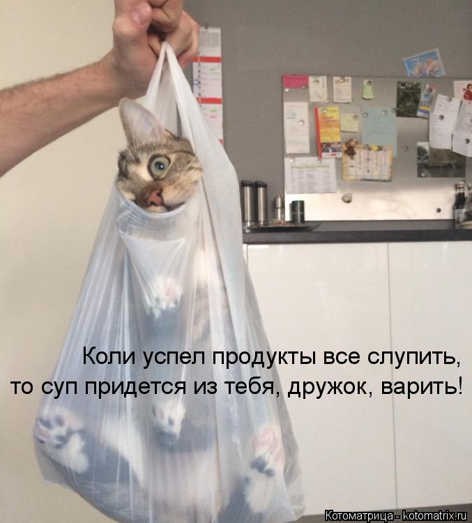 Коли успел продукты все слупить, то суп придется из тебя, дружок, варить!... Котоматрица: Коли успел продукты все слупить, то суп придется из тебя, дружок, варить!
