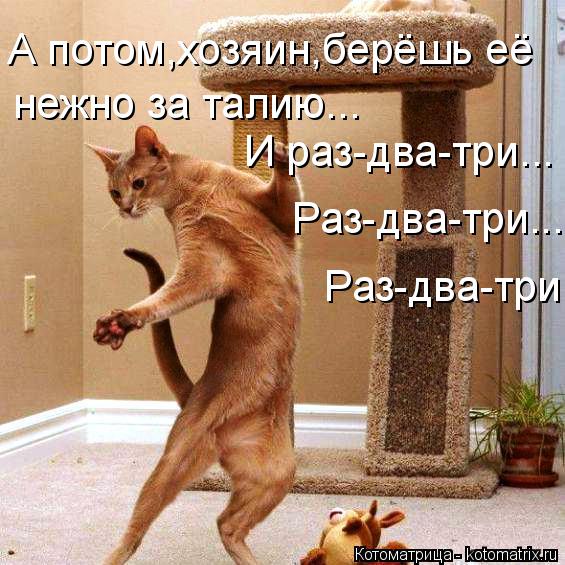 А потом,хозяин,берёшь её нежно за талию... И раз-два-три... Раз-два-три... Раз-два-три.... Котоматрица: А потом,хозяин,берёшь её нежно за талию... И раз-два-три... Раз-два-три... Раз-два-три.